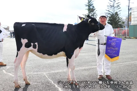 ＪＡ管内の出品牛が多数入賞　<br>2022東日本デイリーショー