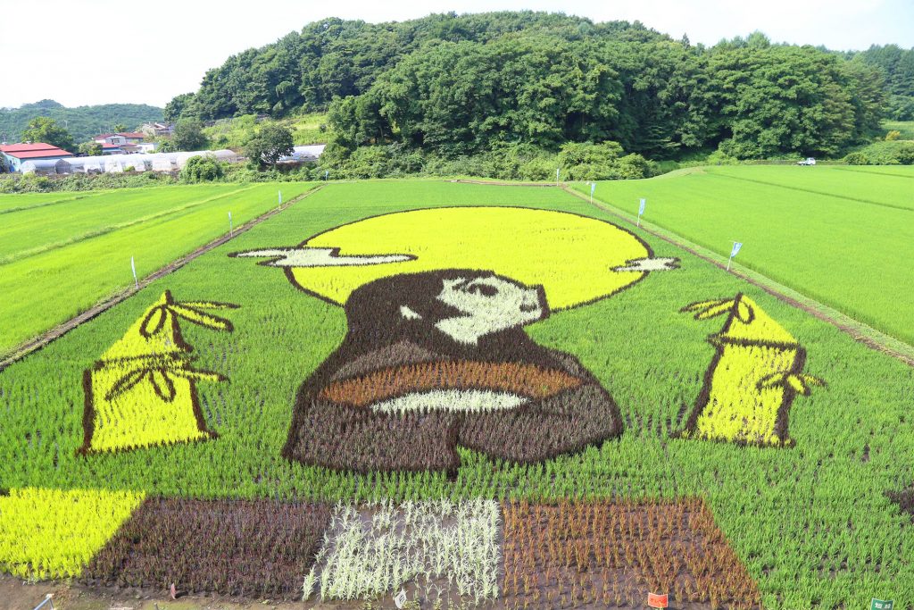 浮島地区の田んぼアート