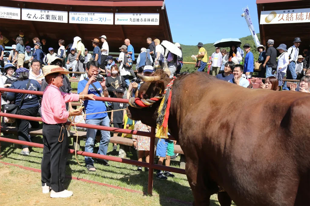 平庭闘牛大会しらかば場所のようす