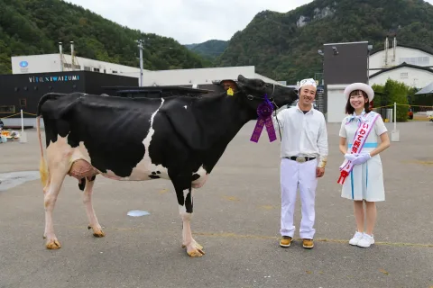 山崎さん、初のグランドチャンピオンに<br>岩手県沿岸ホルスタイン共進会