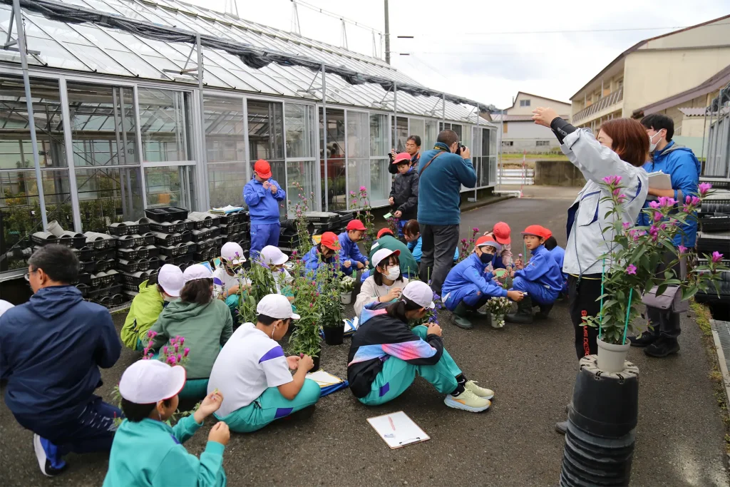 リンドウ生産施設の見学のようす