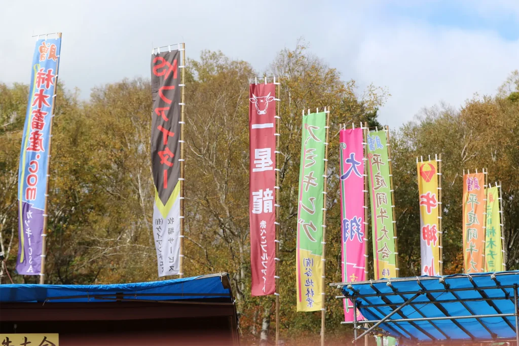 平庭闘牛大会もみじ場所のようす