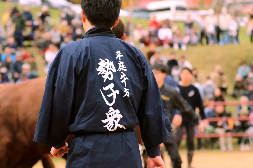 平庭闘牛大会もみじ場所のようす