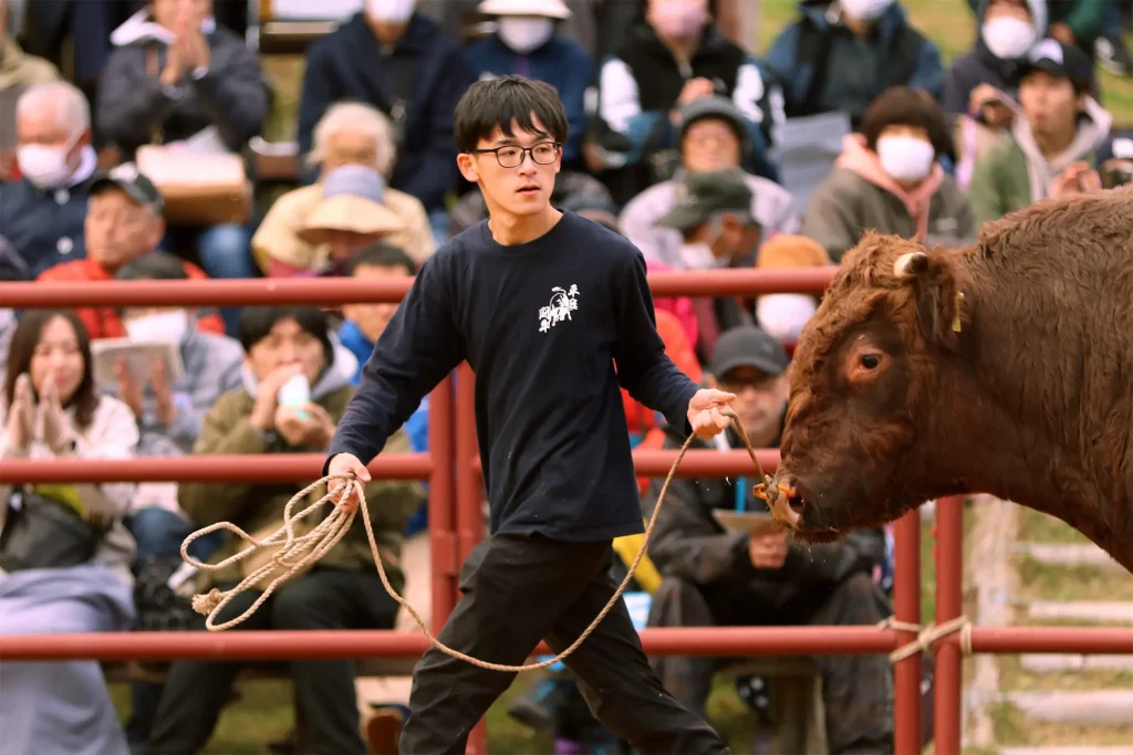 平庭闘牛大会もみじ場所のようす