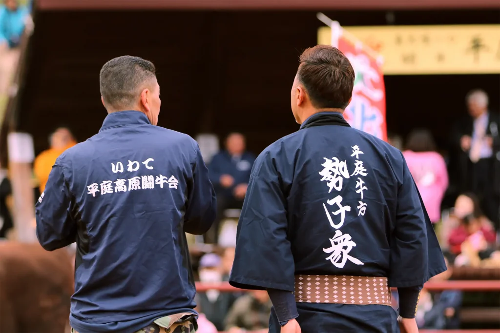 平庭闘牛大会もみじ場所のようす