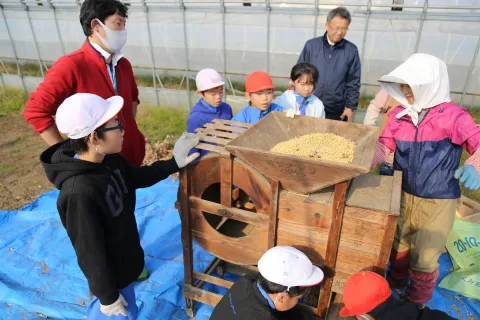 昔の機械で大豆収穫<br>岩手町立一方井小学校