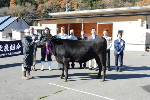 岩泉町の穂高さん初の最優秀賞<br>宮古地方黒毛和種共進会