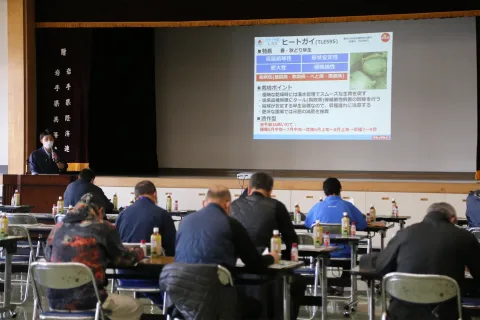 東北一産地でレタス品種勉強会<br>種苗メーカーから品種特性学ぶ