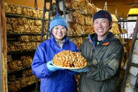 脱サラからのキノコ農家<br>複数のキノコで通年出荷